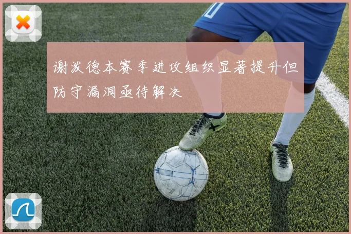 谢泼德本赛季进攻组织显著提升但防守漏洞亟待解决