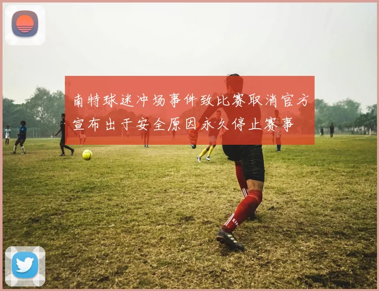 南特球迷冲场事件致比赛取消官方宣布出于安全原因永久停止赛事