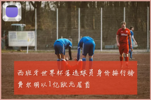 西班牙世界杯落选球员身价排行榜费尔明以1亿欧元居首